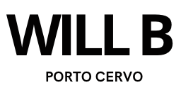 Descubre Will B: Un Universo de Color y Diseño